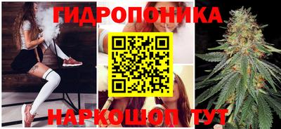 дмт Гусь-Хрустальный