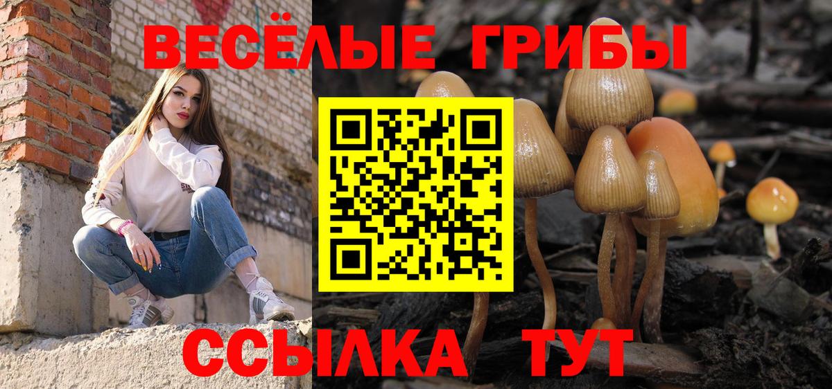 Нижний Новгород  Галлюциногенные грибы MAGIC MUSHROOMS  Вход с VPN 