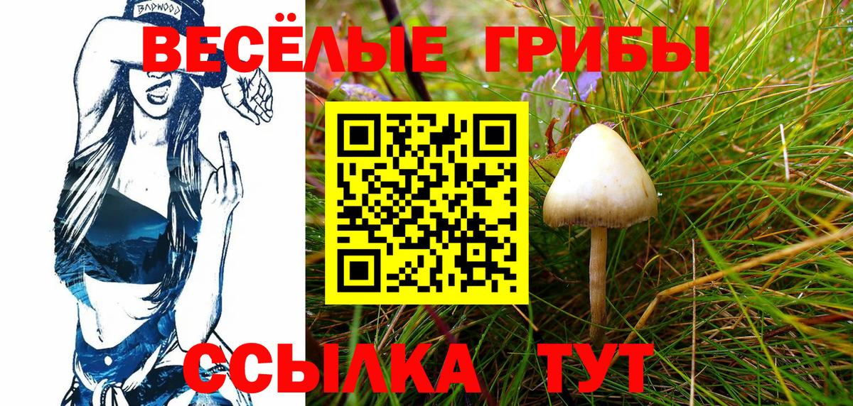 Галлюциногенные грибы прущие грибы Нижний Новгород